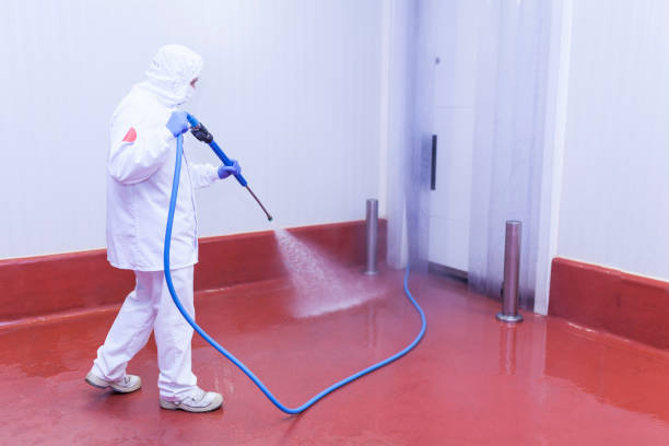 Best Playground Equipment Cleaning  in Nephi, UT